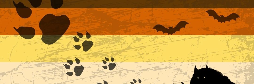 acmarkz's profile banner image
