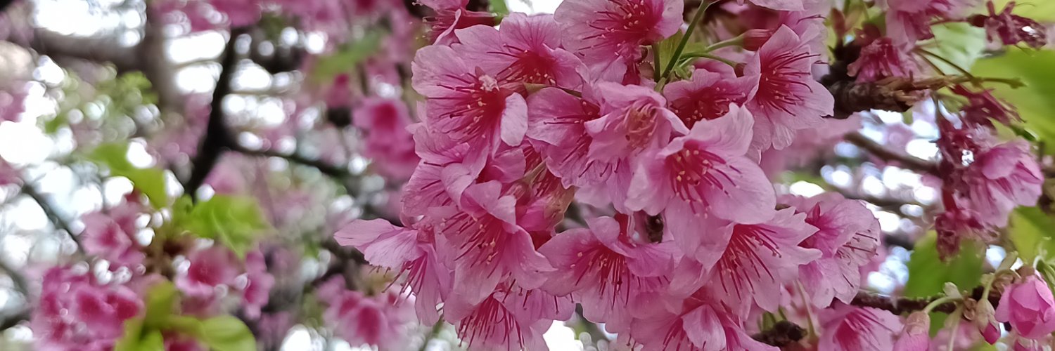 vitoriamoedo's profile banner image