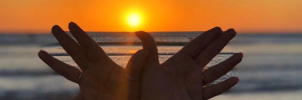 melolua's profile banner image