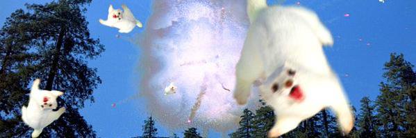 Alyssssyla's profile banner image