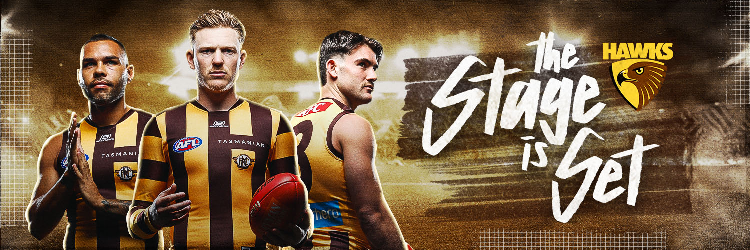 Hawthorn FC's banner