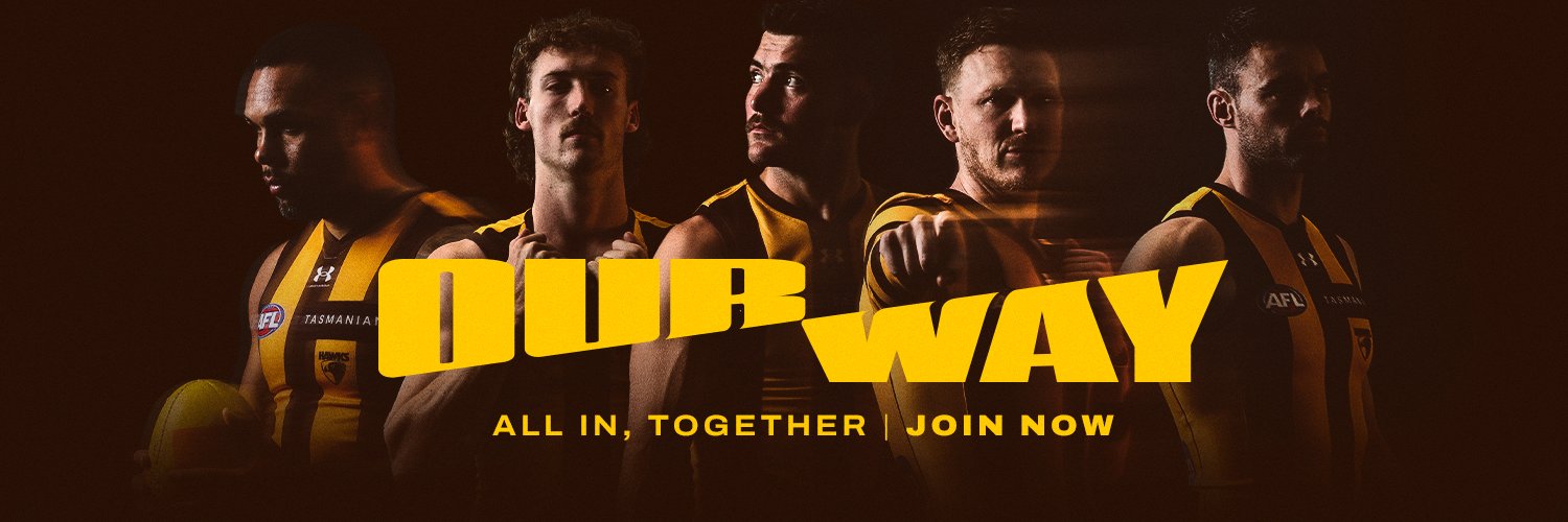 Hawthorn FC banner