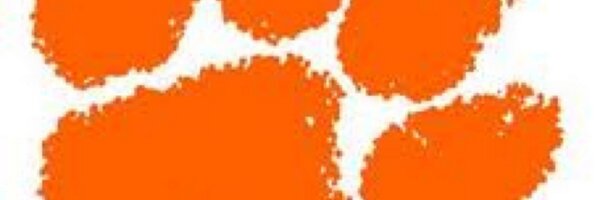 brentoc6 Profile Banner