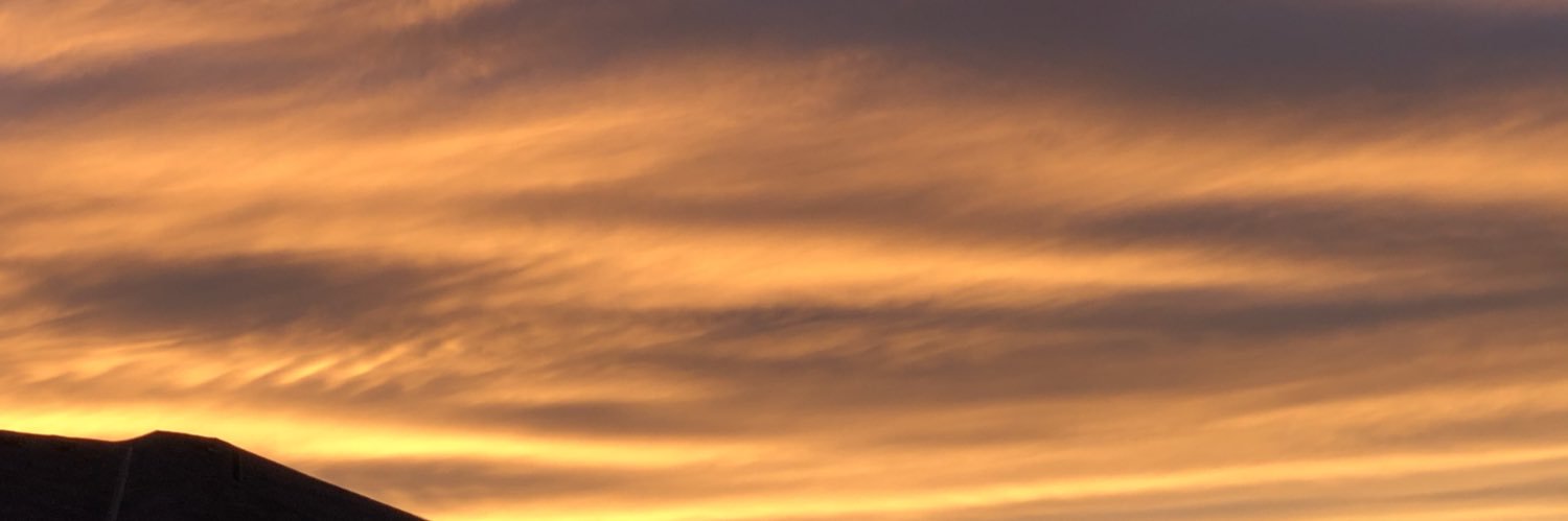 V20Hal's profile banner image