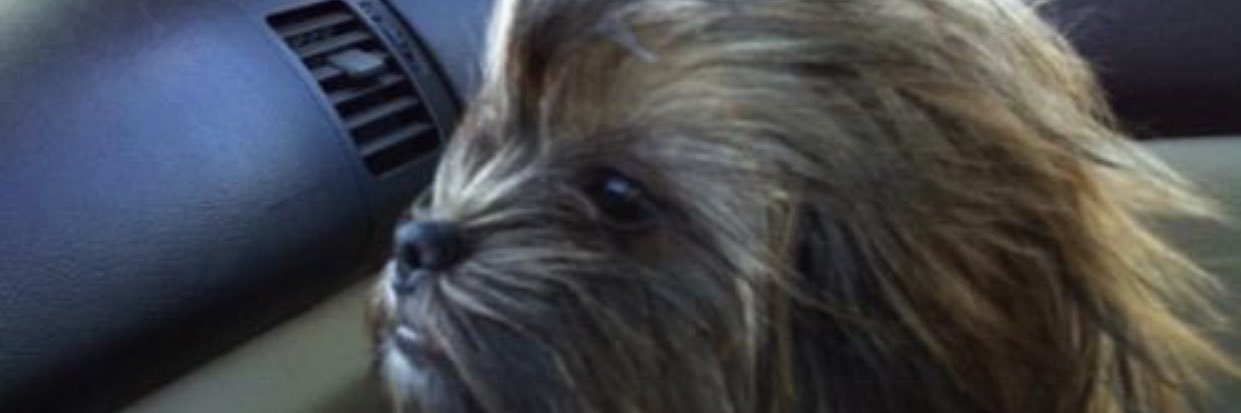 AaronInTulsa's profile banner image