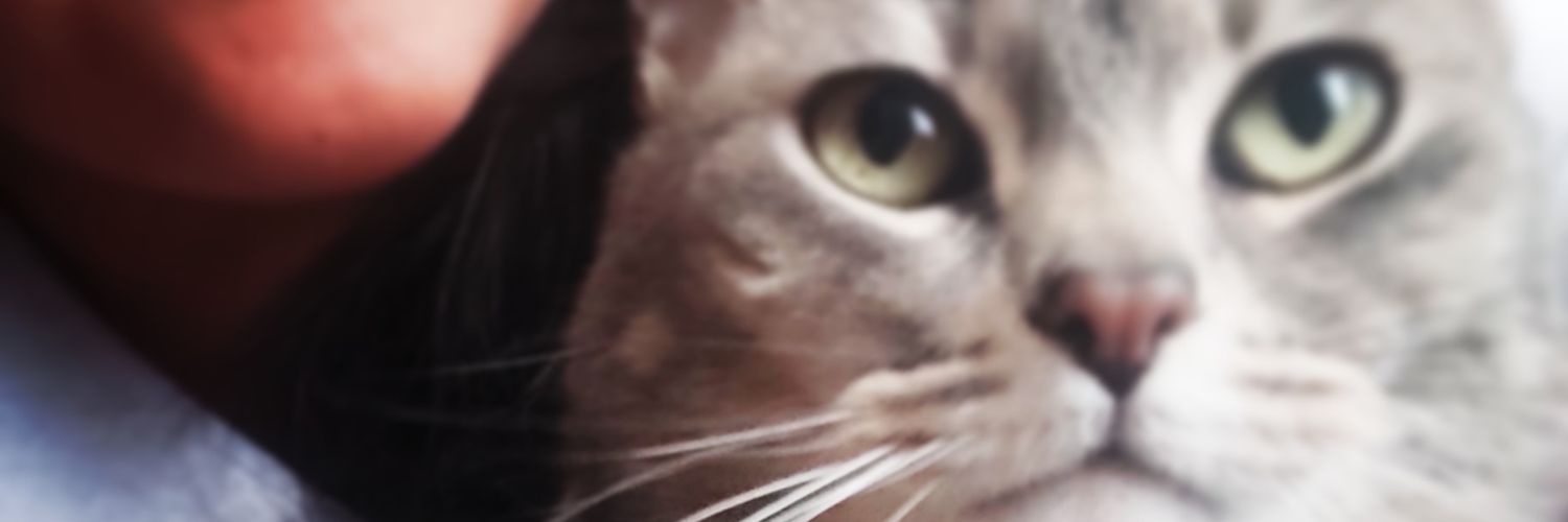 ALEROJAS17's profile banner image