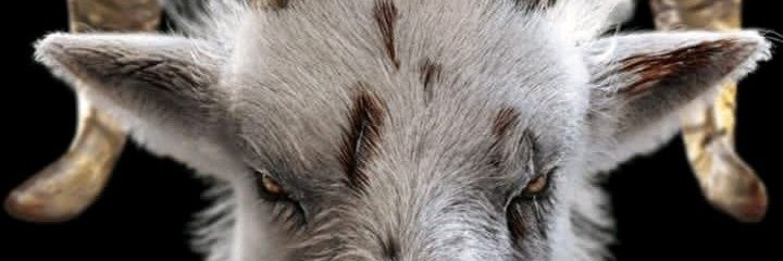 imcarlucci's profile banner image