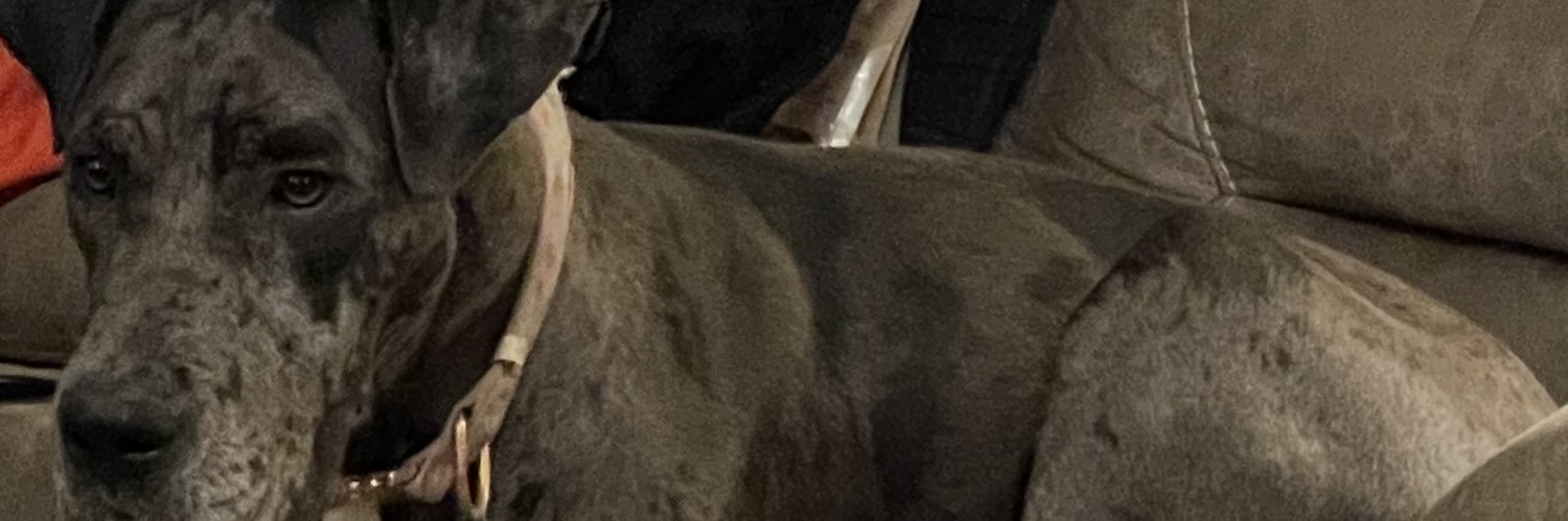 Jake banner