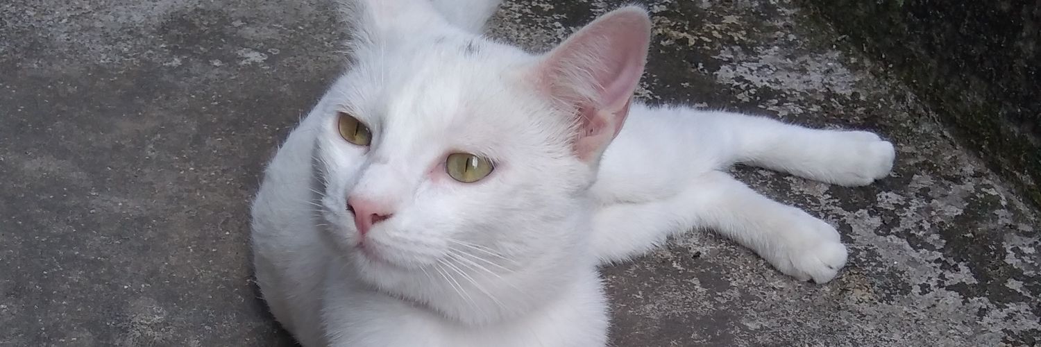 mariartec's profile banner image