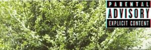 DamianTweedy's profile banner image