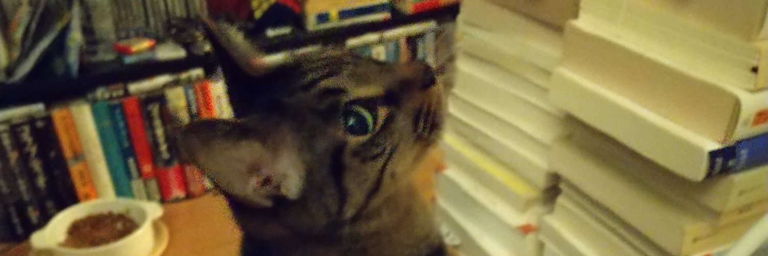freehs's profile banner image