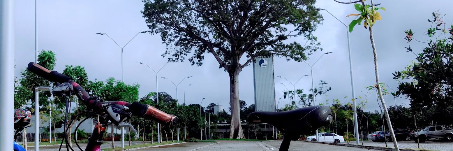 manuathayde's profile banner image