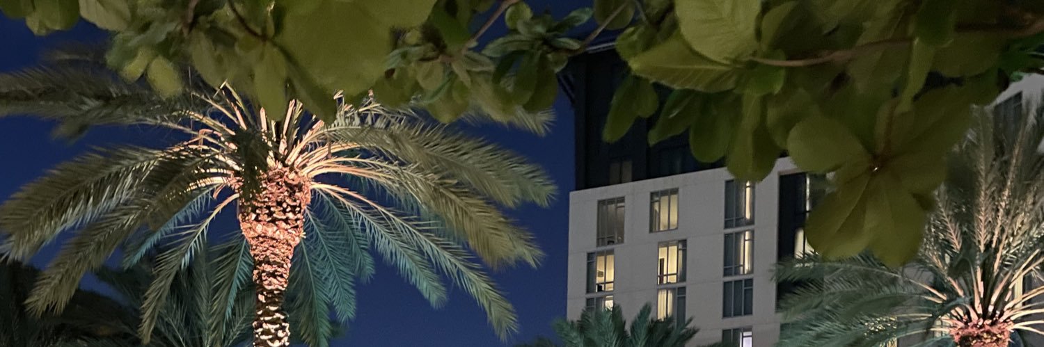 _nicki's profile banner image