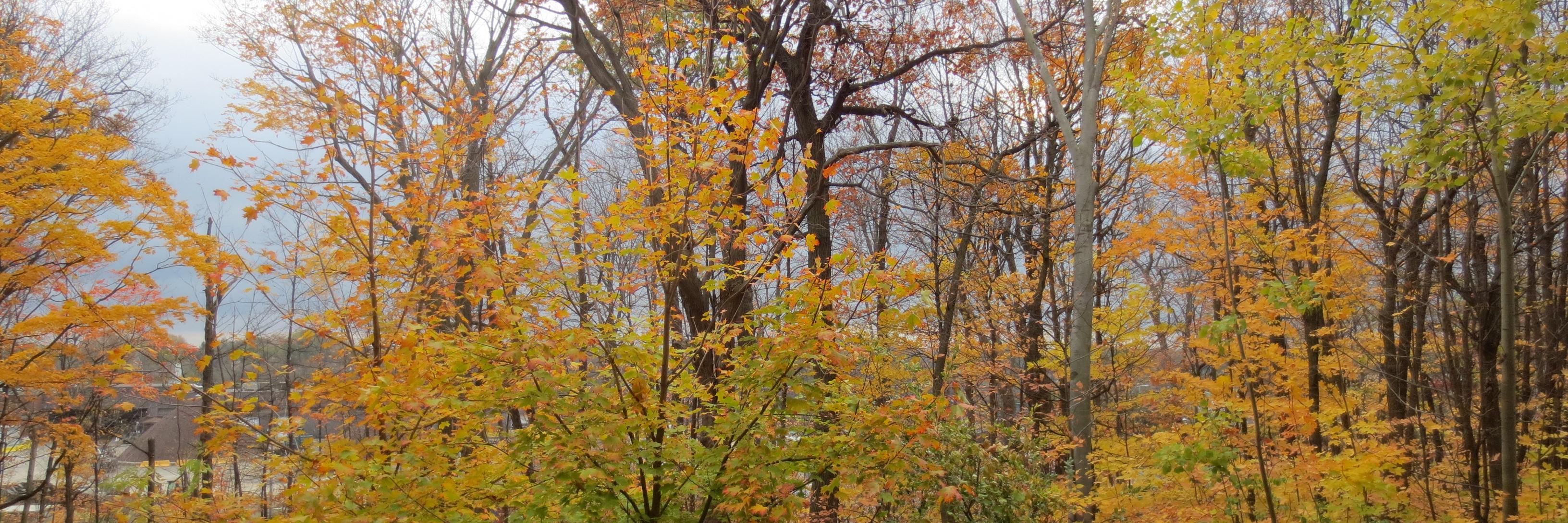 EmmNeed's profile banner image
