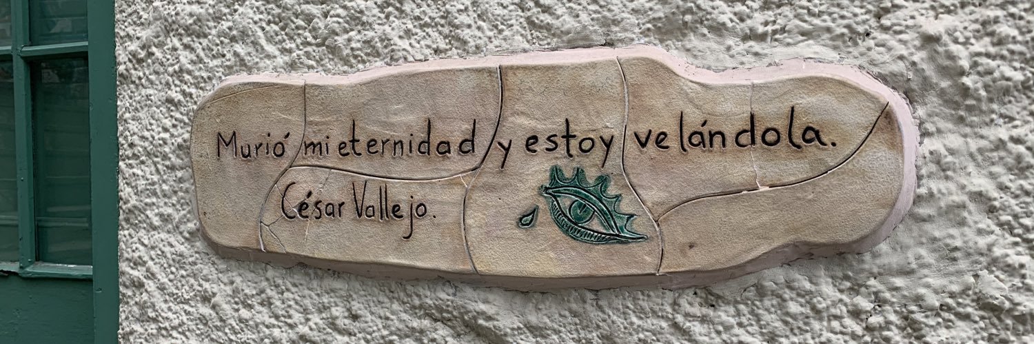 Laura Zaferson 💚🇵🇪🦕 banner