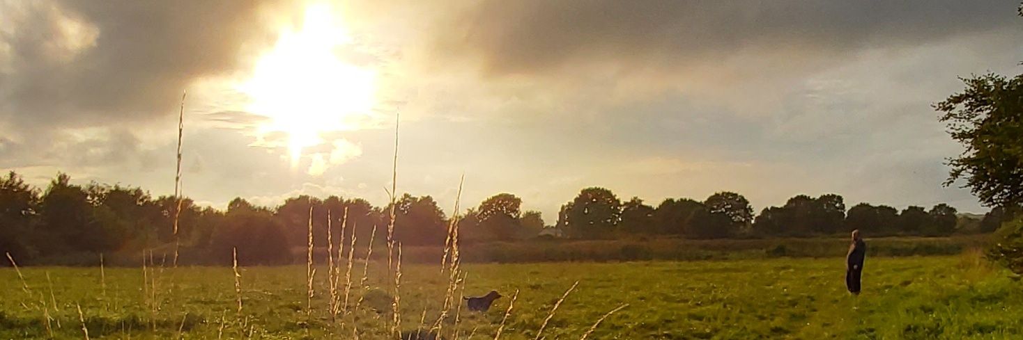 scrossy820's profile banner image