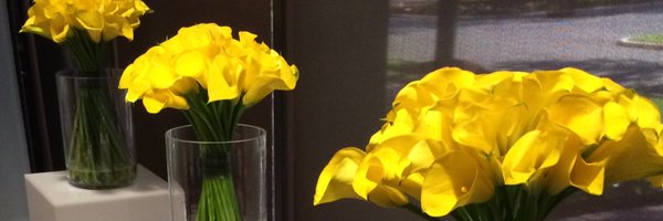 FlowerStation Profile Banner