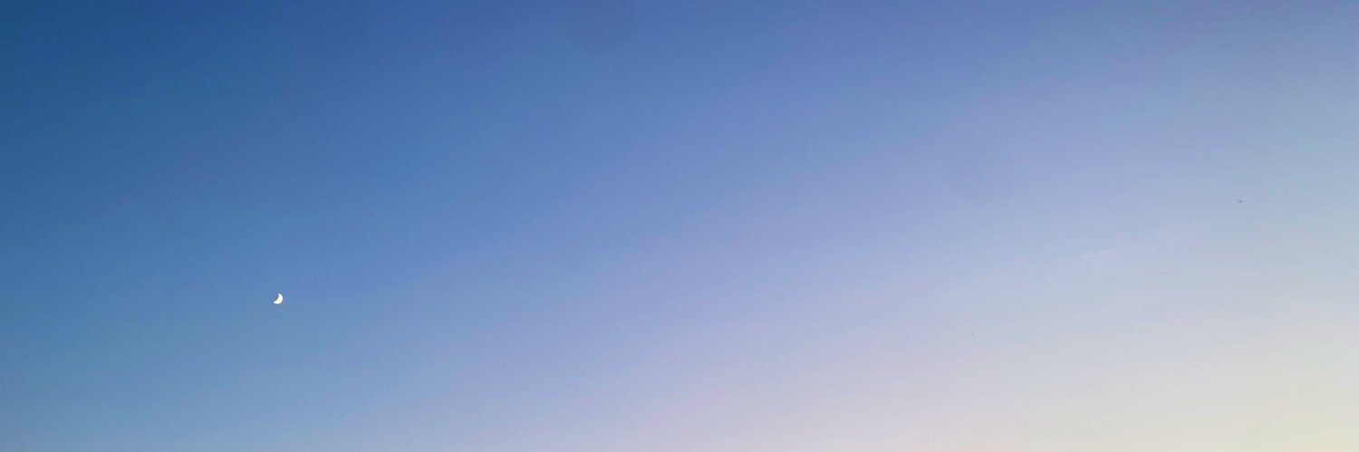 elana312's profile banner image