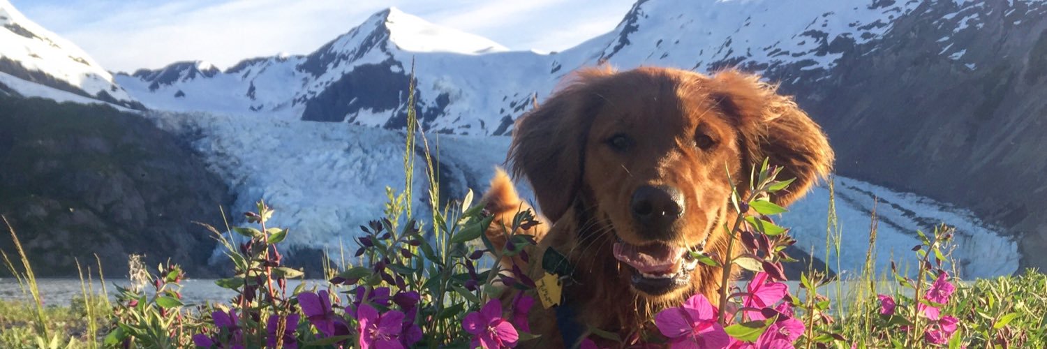 chelle weaver banner