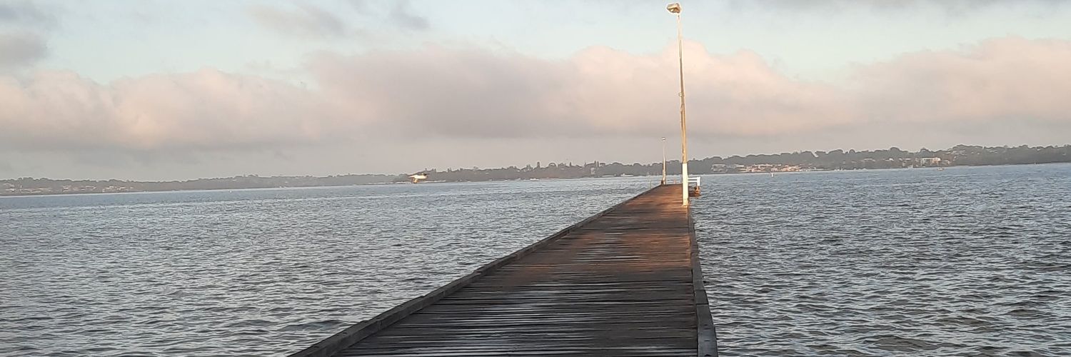 silverfush's profile banner image
