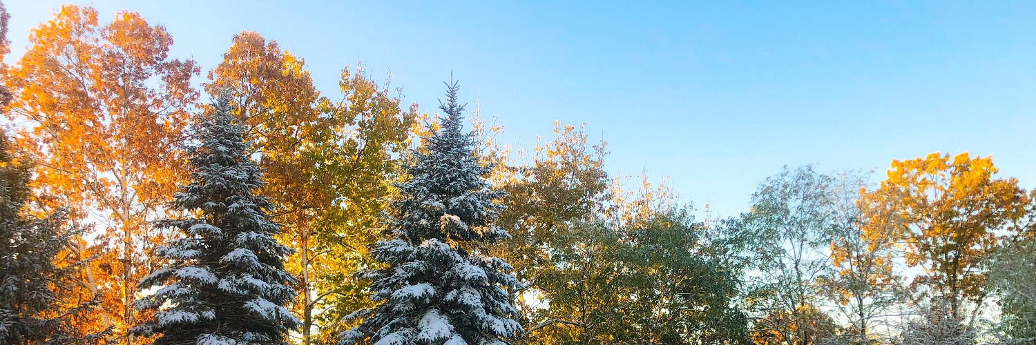 ameliazurcher's profile banner image