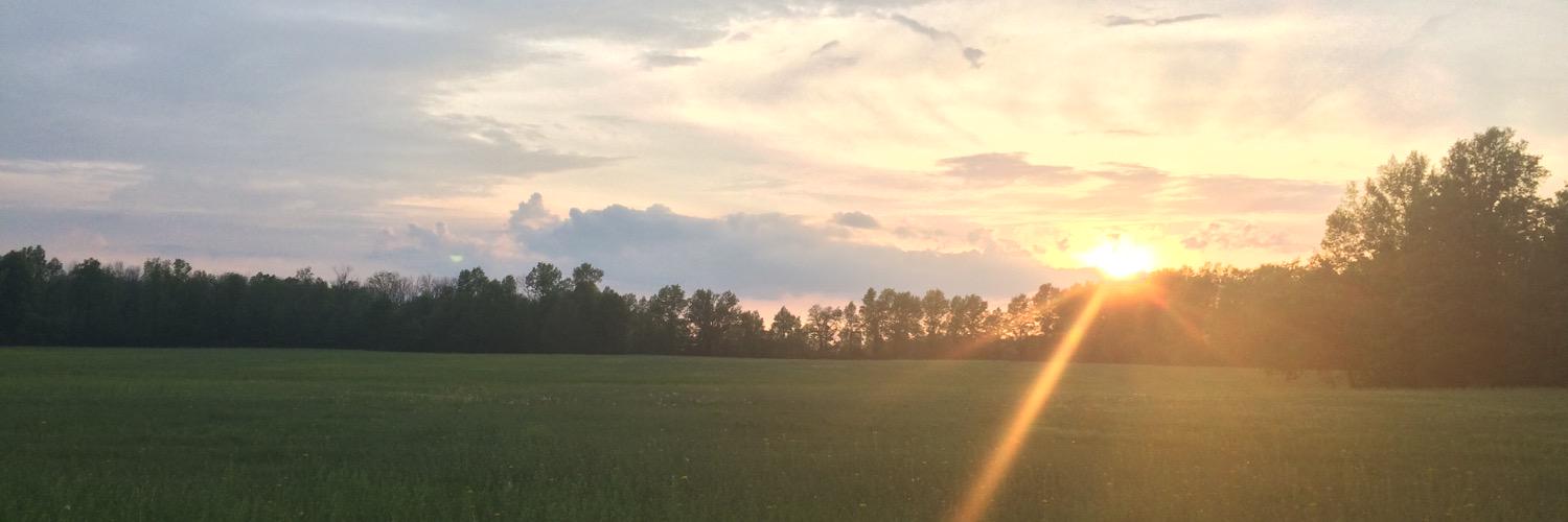cherismiller's profile banner image
