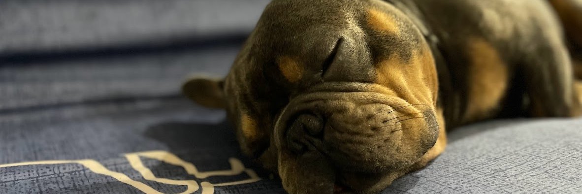 tee_teeee's profile banner image