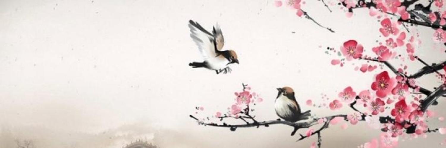 Angelirodrigues's profile banner image