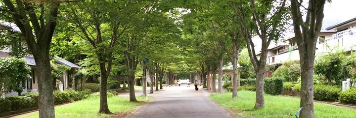 松田承一｜Shoichi Matsuda banner