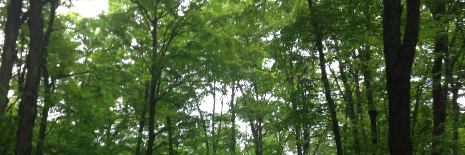 distantlover___'s profile banner image