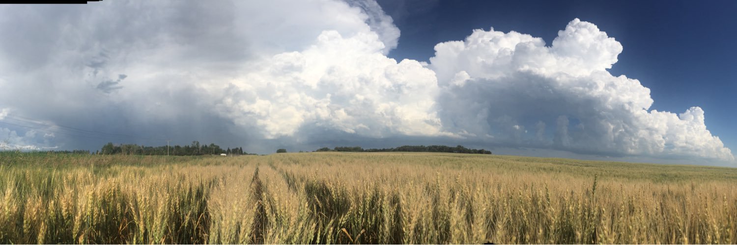 cdwunderlich's profile banner image