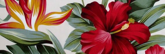 _seratina's profile banner image