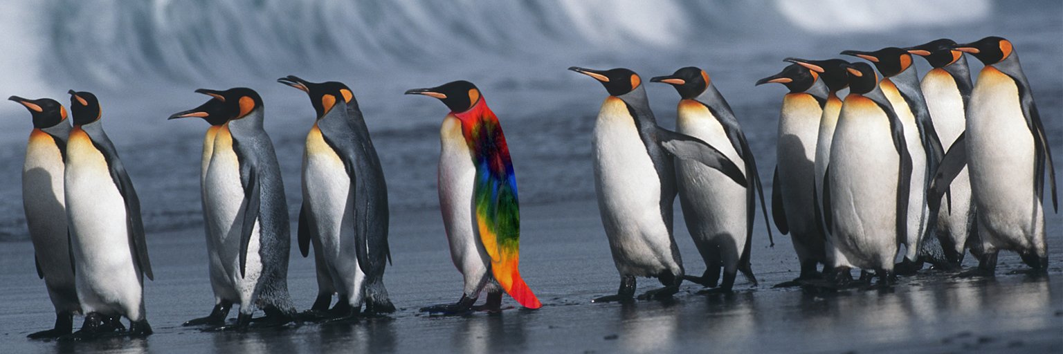 saywhat_com's profile banner image