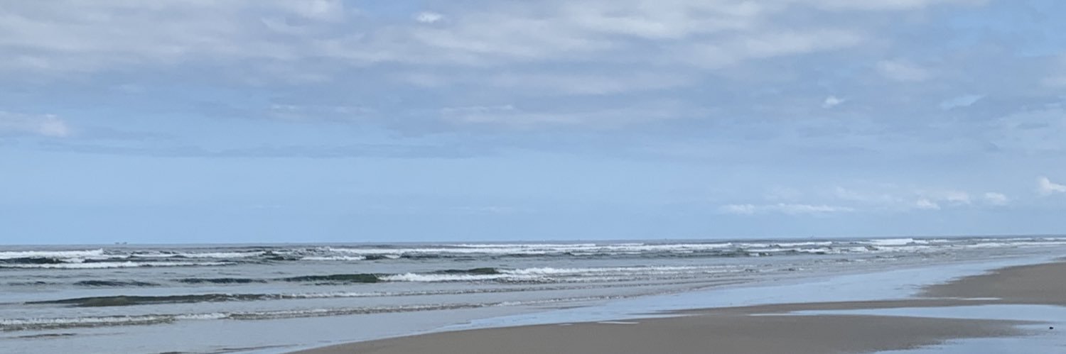 pc_rocha's profile banner image