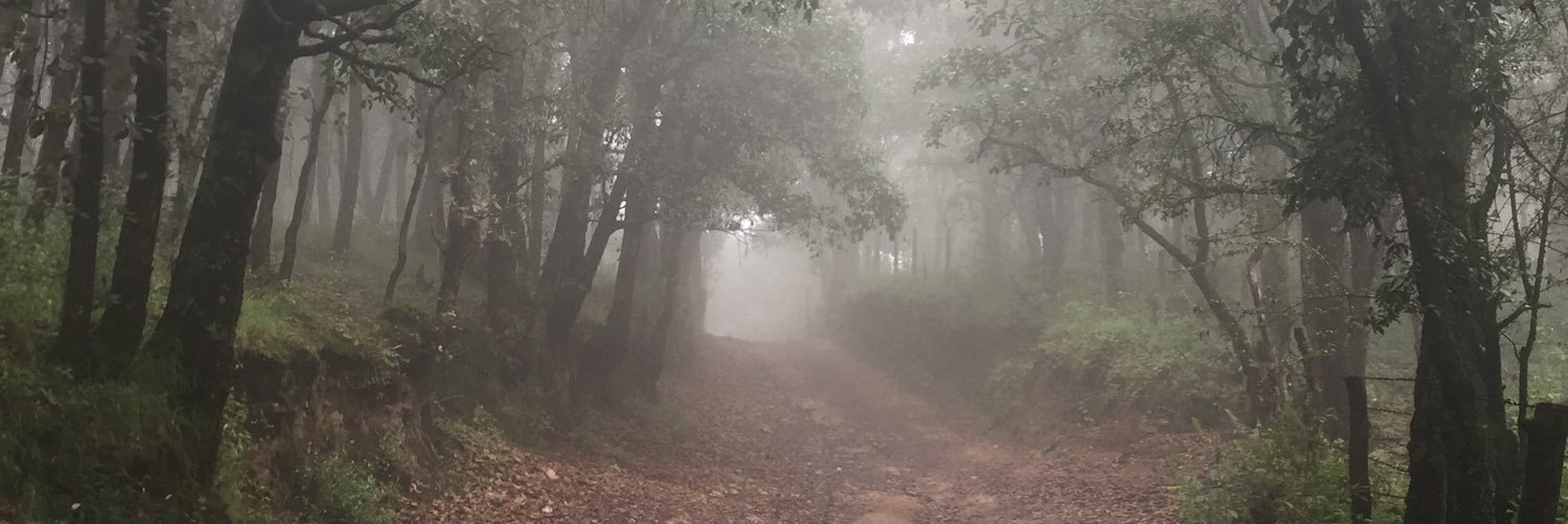 marimix75's profile banner image