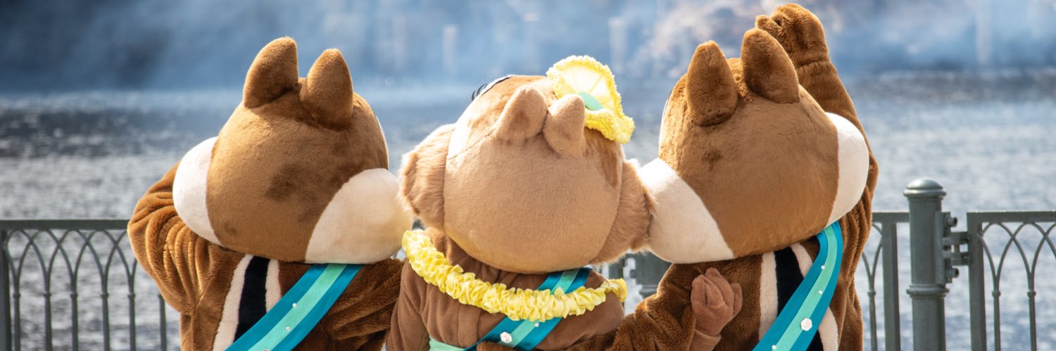 yatsudedede's profile banner image