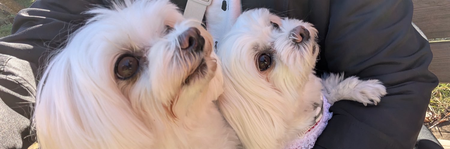 7032 / NAO3Ⅱ banner