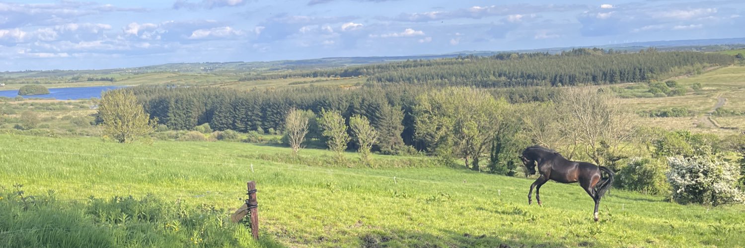 Edel Burke Curtin banner