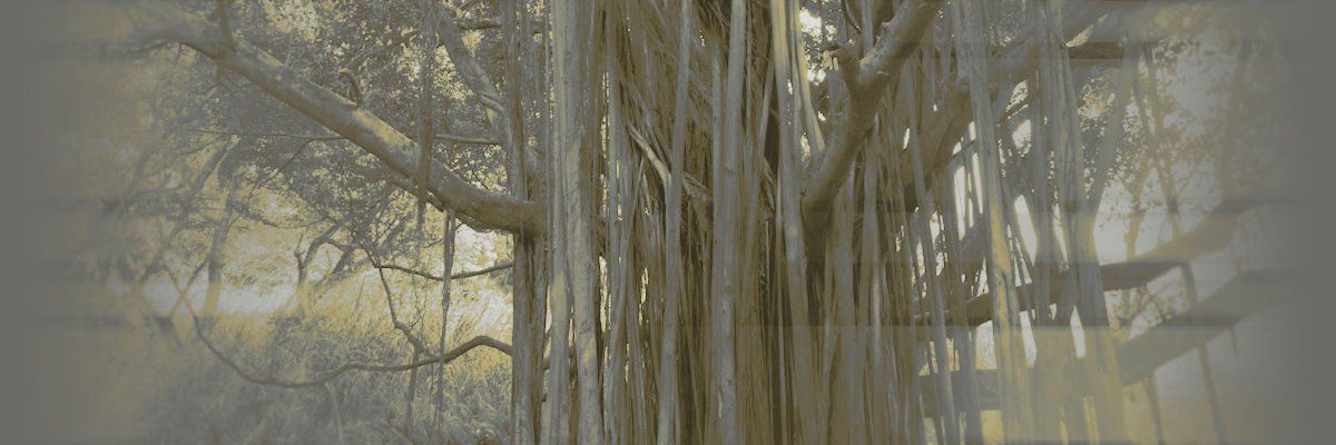 Kevin Danenberg banner