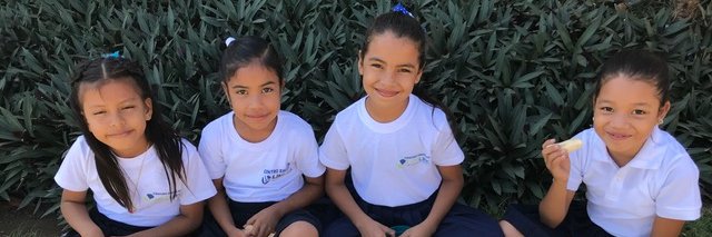 LifeLinkInt's profile banner image