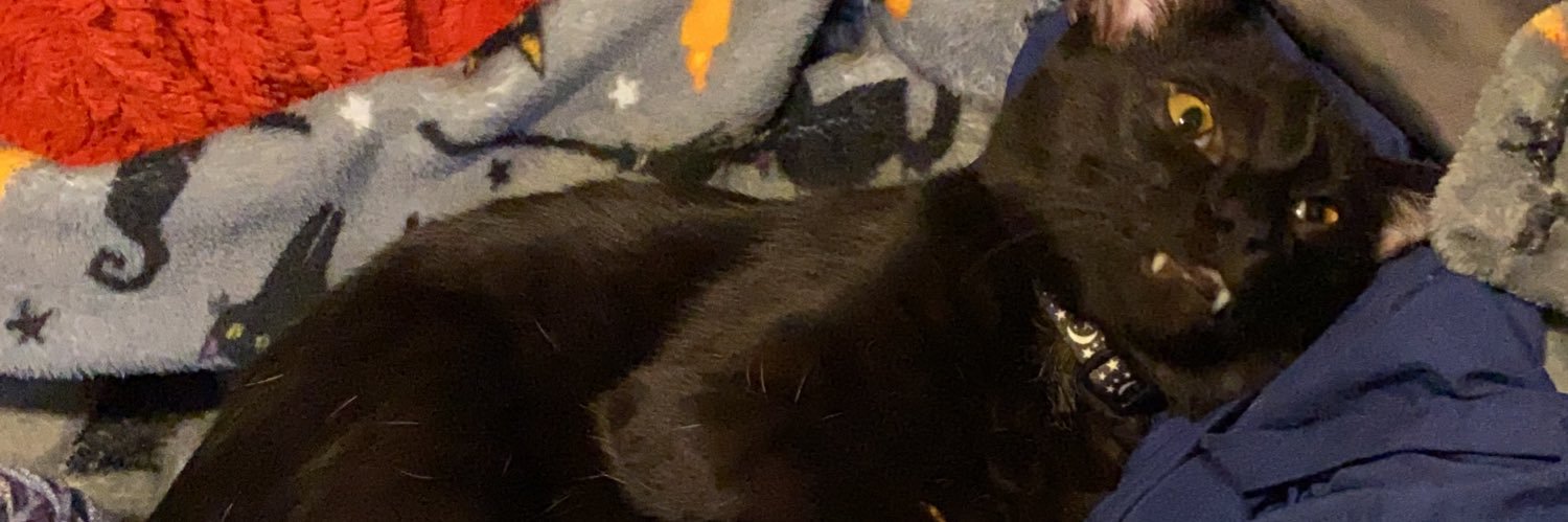 Cazzafrazz19's profile banner image