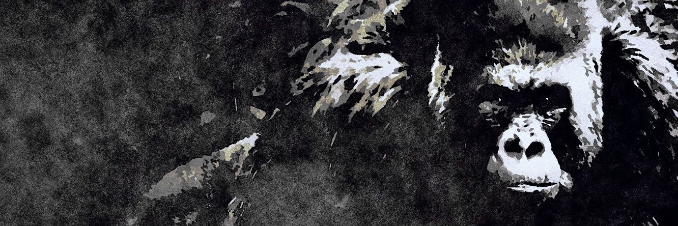 matheuswcp's profile banner image