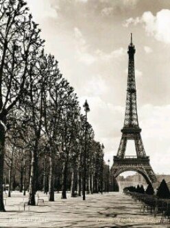 Musdalifah's profile banner image