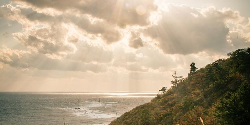 Mirnalin_'s profile banner image
