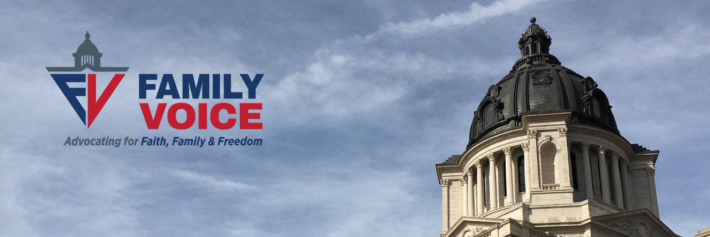 SD Family Voice banner