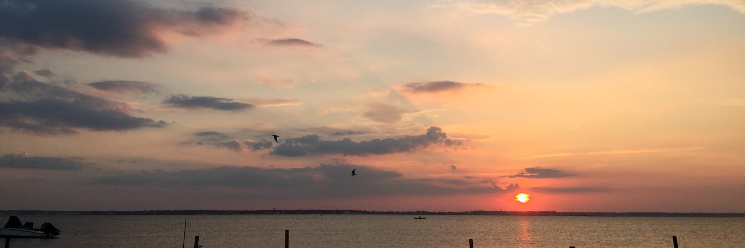 vanquinnn's profile banner image