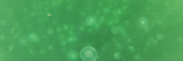 bryanroutledge Profile Banner