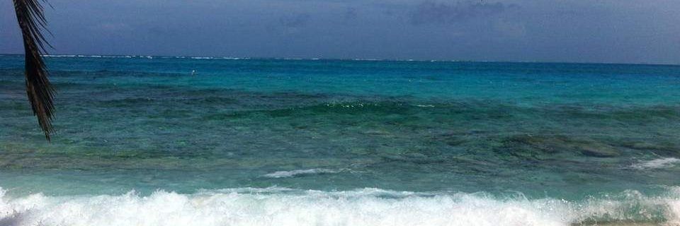 williamfreyess's profile banner image