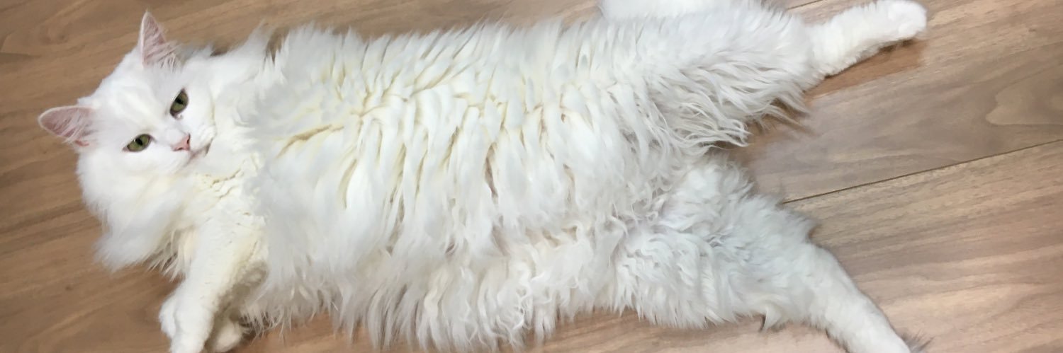 milkyoki's profile banner image