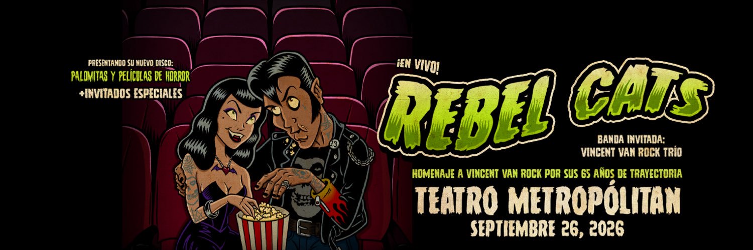 Rebel Cats banner